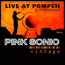 Pink Sonic - Vintage