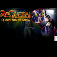 Requeen