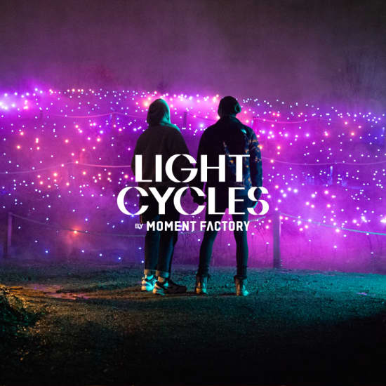 Light Cycles: Una passeggiata notturna che brilla attraverso la natura, la luce e il suono