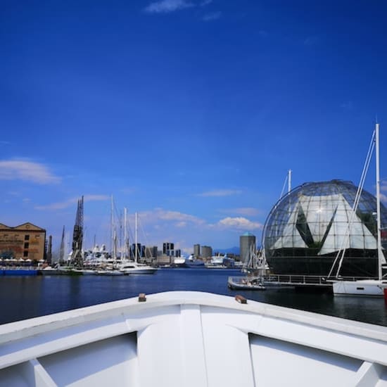 Tour del porto di Genova in barca