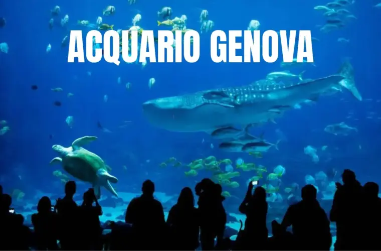 Acquario Genova Biglietti