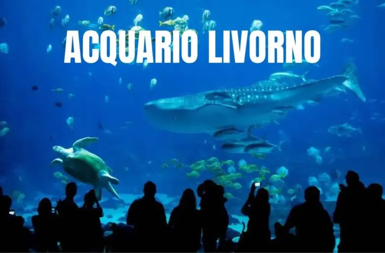 ACquario Livorno Biglietti